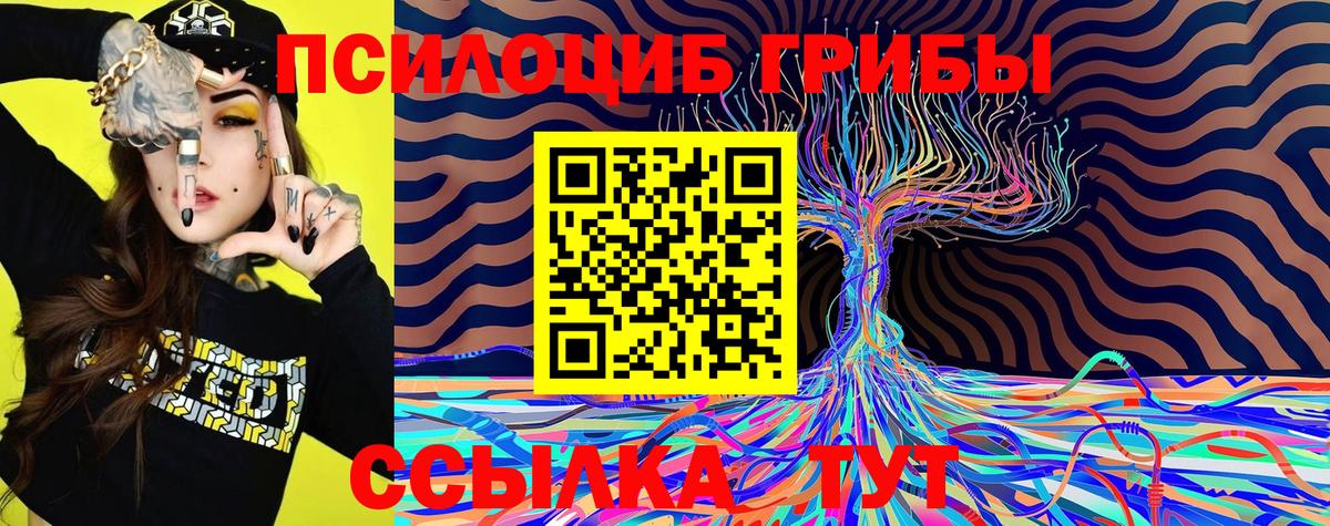 Галлюциногенные грибы мицелий  Галлюциногенные грибы Magic Shrooms  Будённовск 