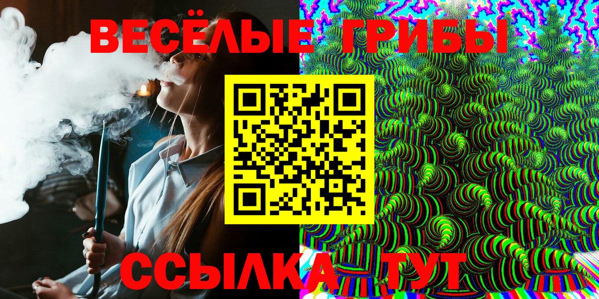 Будённовск  Псилоцибиновые грибы Psilocybine cubensis  Вход с VPN 