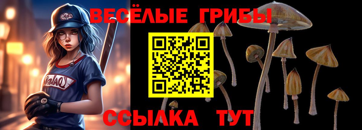 Галлюциногенные грибы Magic Shrooms Будённовск